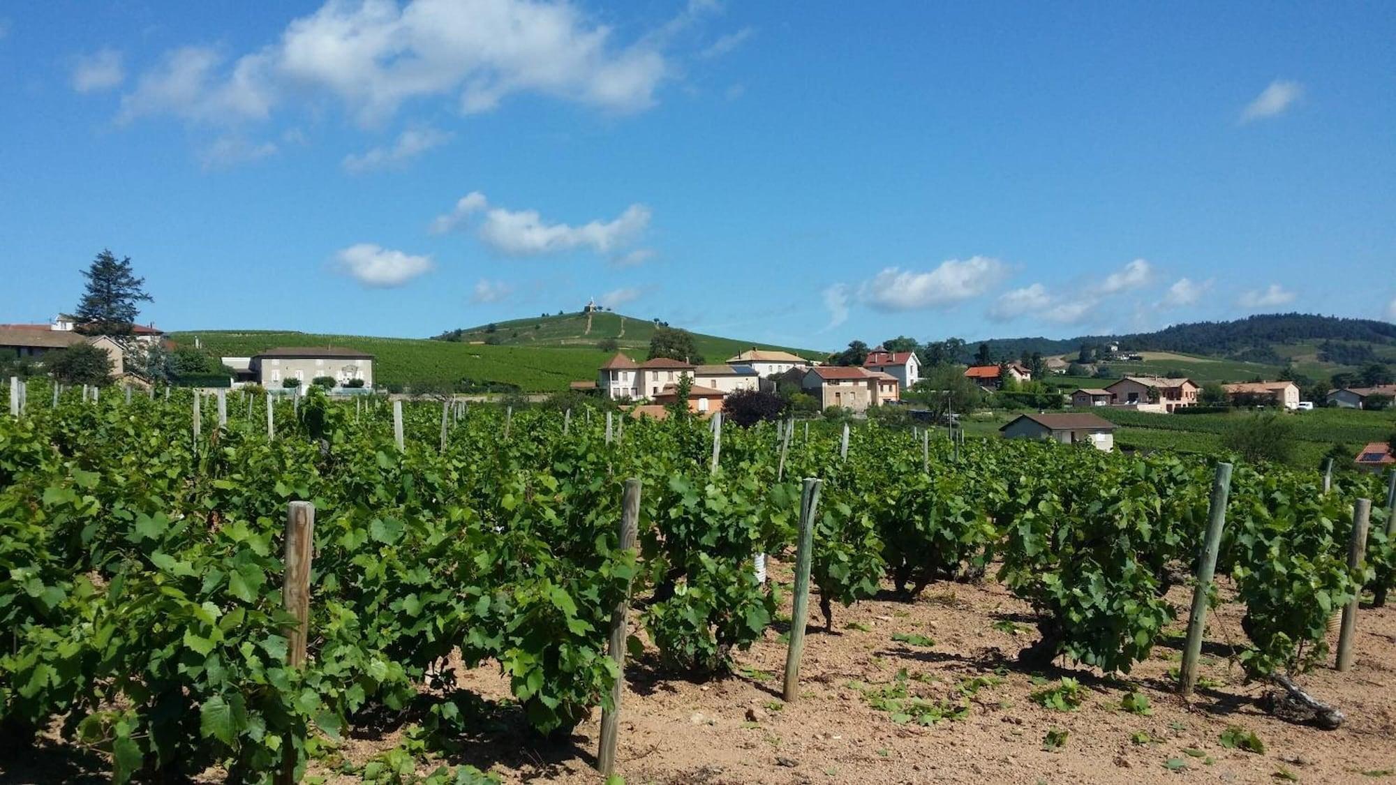 Logis Hotel Des Grands Vins Fleurie Exterior foto